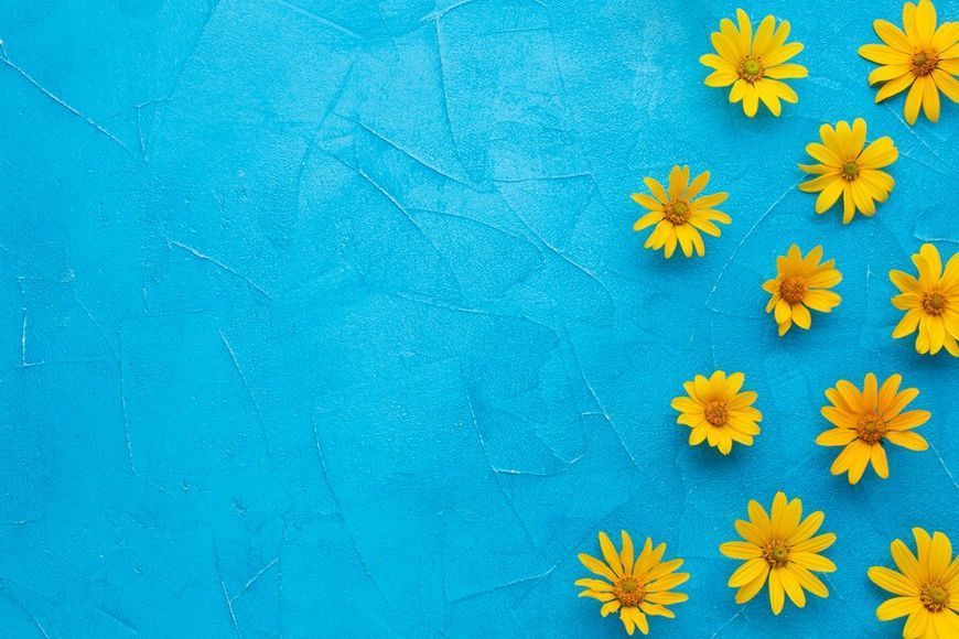 Банер-фотозона Україна,українська символіка, жовто блакитний фон, Якісний друк банера. 01401-001-1 фото